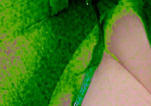Evawishx leaked private photo uncensored HD quality