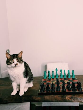 Nemsko  page leaked private photo uncensored HD quality