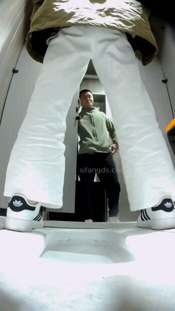 Voyeur asian pissing toilet amp upskirts only leaked private photo uncensored HD quality